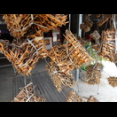 Getrocknete Frösche werden hier in Paketen verkauft